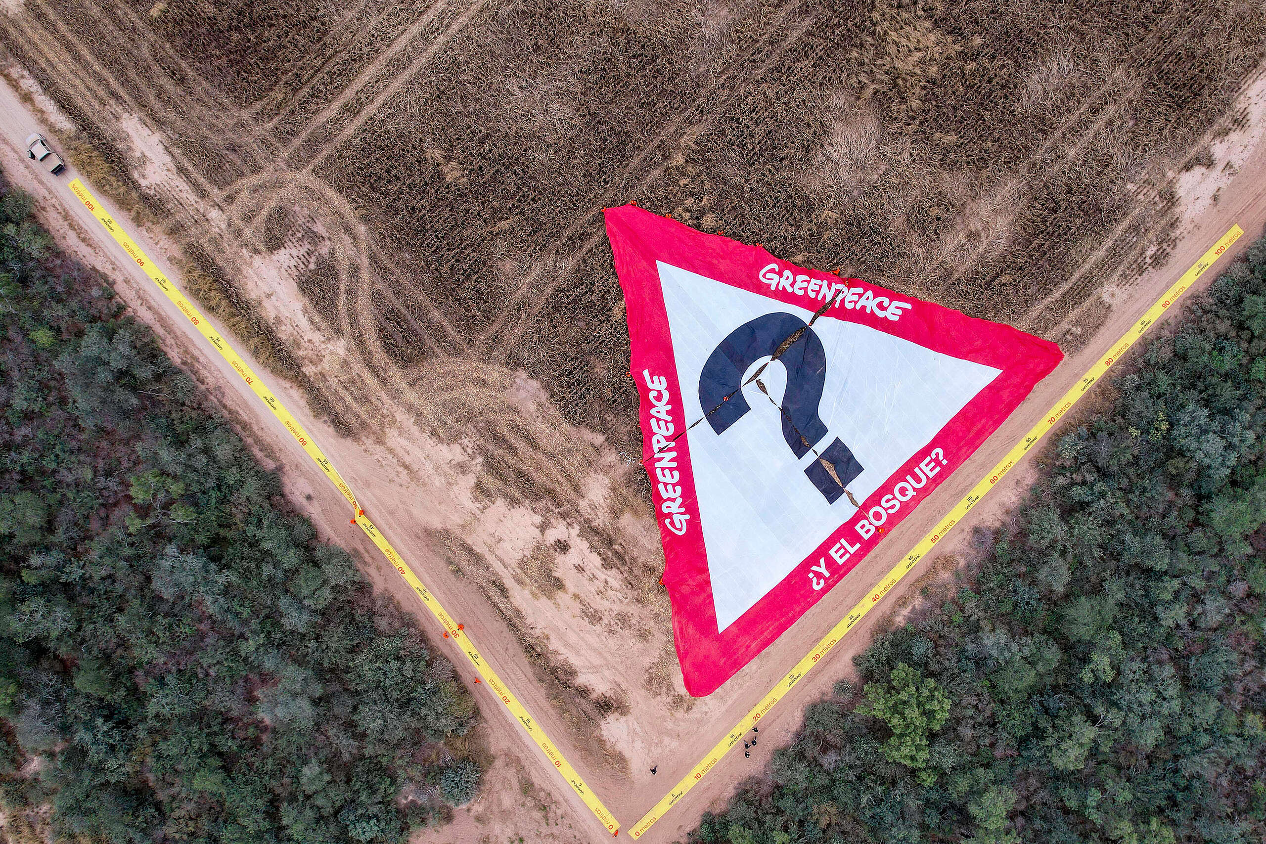 Multa millonaria al desmonte ilegal más grande del país