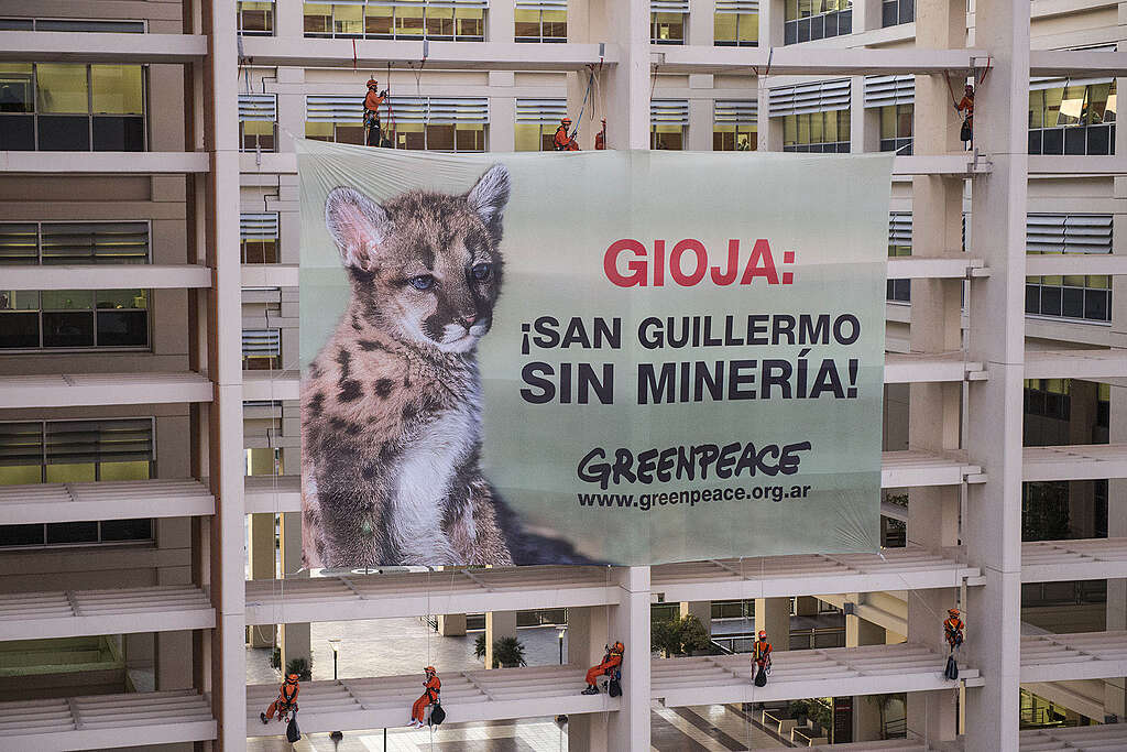 San Juan, 5 de junio de 2013.- Activistas de Greenpeace escalaron esta madrugada el frente del Centro Civico y colgaron un cartel gigante a 20 metros de altura, con la fotografia de un puma, animal representativo de la fauna en peligro, y la leyenda Gioja: San Guillermo sin mineria. (c) Martin Katz / Greenpeace.