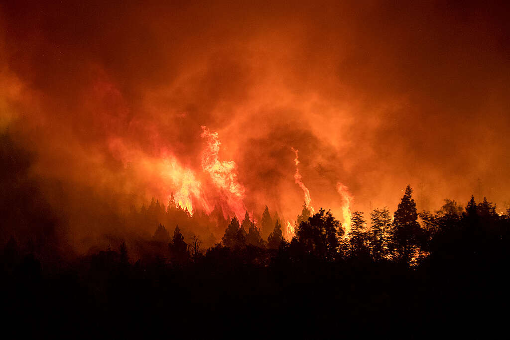 Incendio lagos Martin y Steffen, en Río Negro.