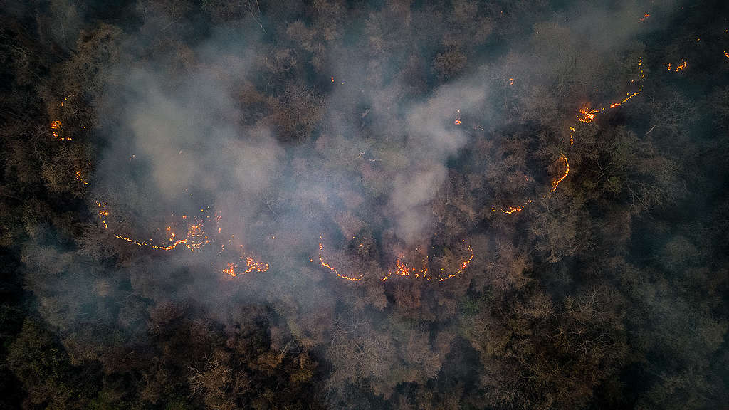 Incendio forestal en el Norte Argentino