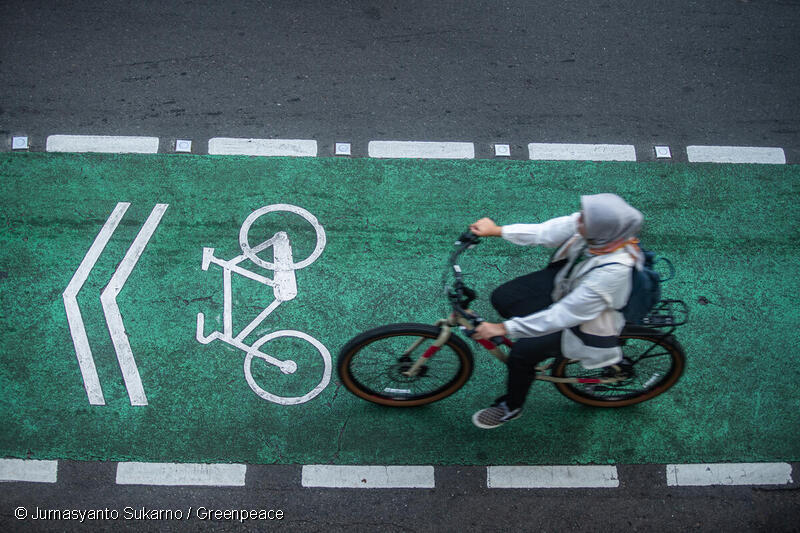 Persona andando en bicicleta sobre ciclovía.