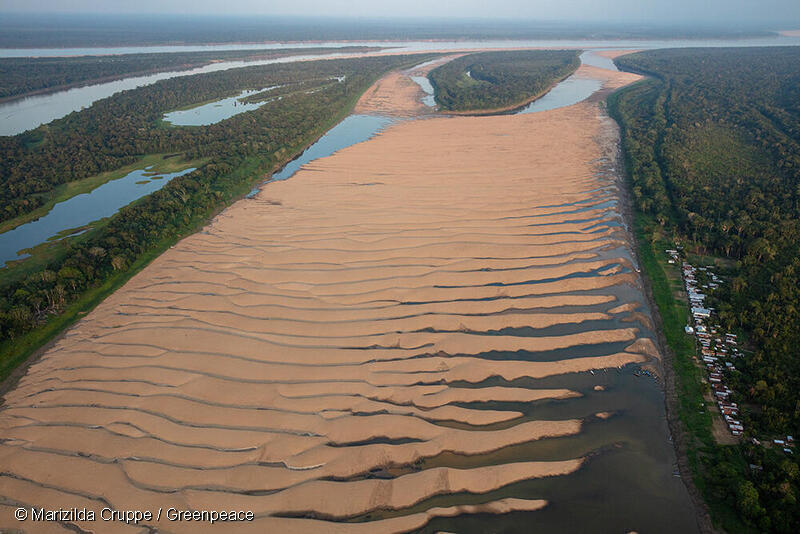 Una imagen aérea de los alrededores de Tefé, impactados por la severa sequía.
A principios de octubre, Greenpeace Brasil realizó su primer viaje de campo como parte del proyecto Alas de Emergencia 2023 en Tefé, estado de Amazonas, llevando ayuda humanitaria a las personas más afectadas por la histórica sequía en la selva amazónica y ofreciendo apoyo logístico a organizaciones que investigan la Impactos sobre la fauna local.