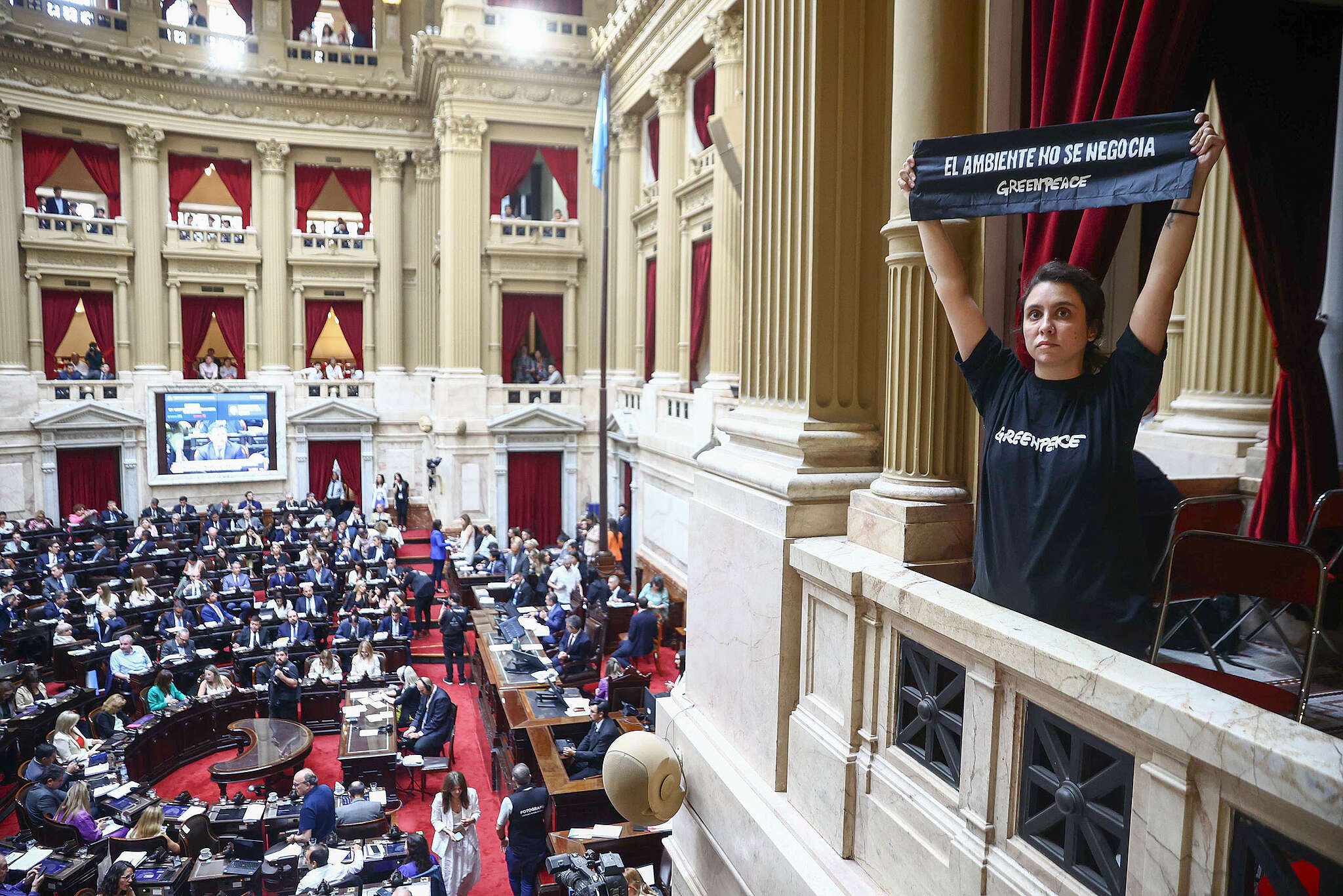 Paso a paso ¿cómo defiendo la Ley de Glaciares en la audiencia pública ...