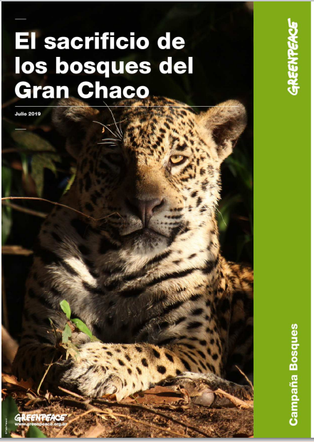 El sacrificio de los bosques del Gran Chaco.