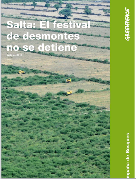 Salta: El festival del desmonte no se detiene.
