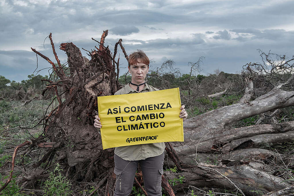 Deforestation for Farming and Agriculture in Chaco Province, Argentina. © Martin Katz / Greenpeace Deforestation for Farming and Agriculture in Chaco Province, Argentina. © Martin Katz / Greenpeace