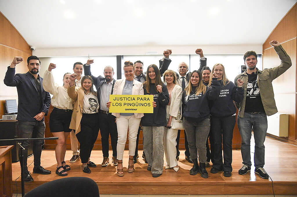 Las organizaciones querellantes en la causa de la
masacre de los pingüinos Magallanes de Punta Tombo, Fundación Patagonia Natural,
Greenpeace y la Asociación Argentina de Abogados/as Ambientalistas celebran la
decisión del Superior Tribunal de Justicia de Rawson.