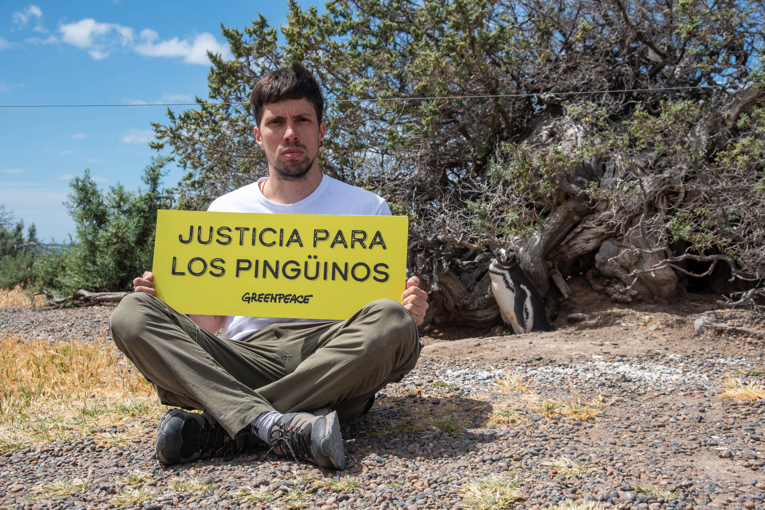 &ldquo;La justicia reafirm&oacute; el fallo hist&oacute;rico por la masacre de ping&uuml;inos en Punta Tombo&rdquo;&nbsp;