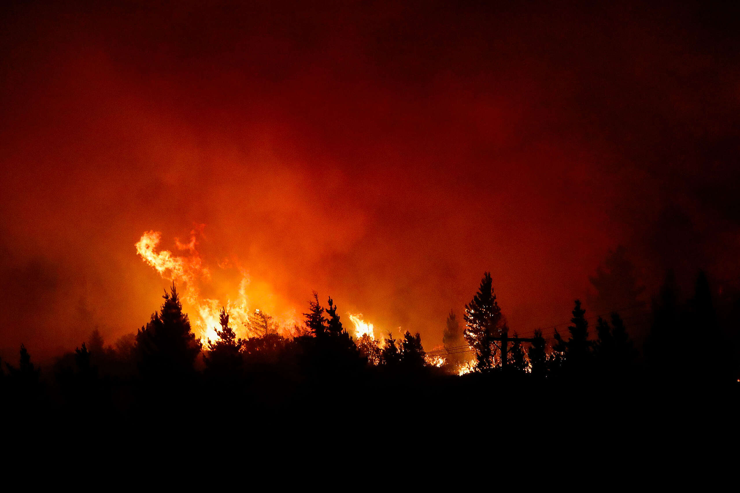 Fundación Greenpeace Argentina | Incendio forestal en Chubut arrasa 1.800 hectáreas y viviendas en pocas horas