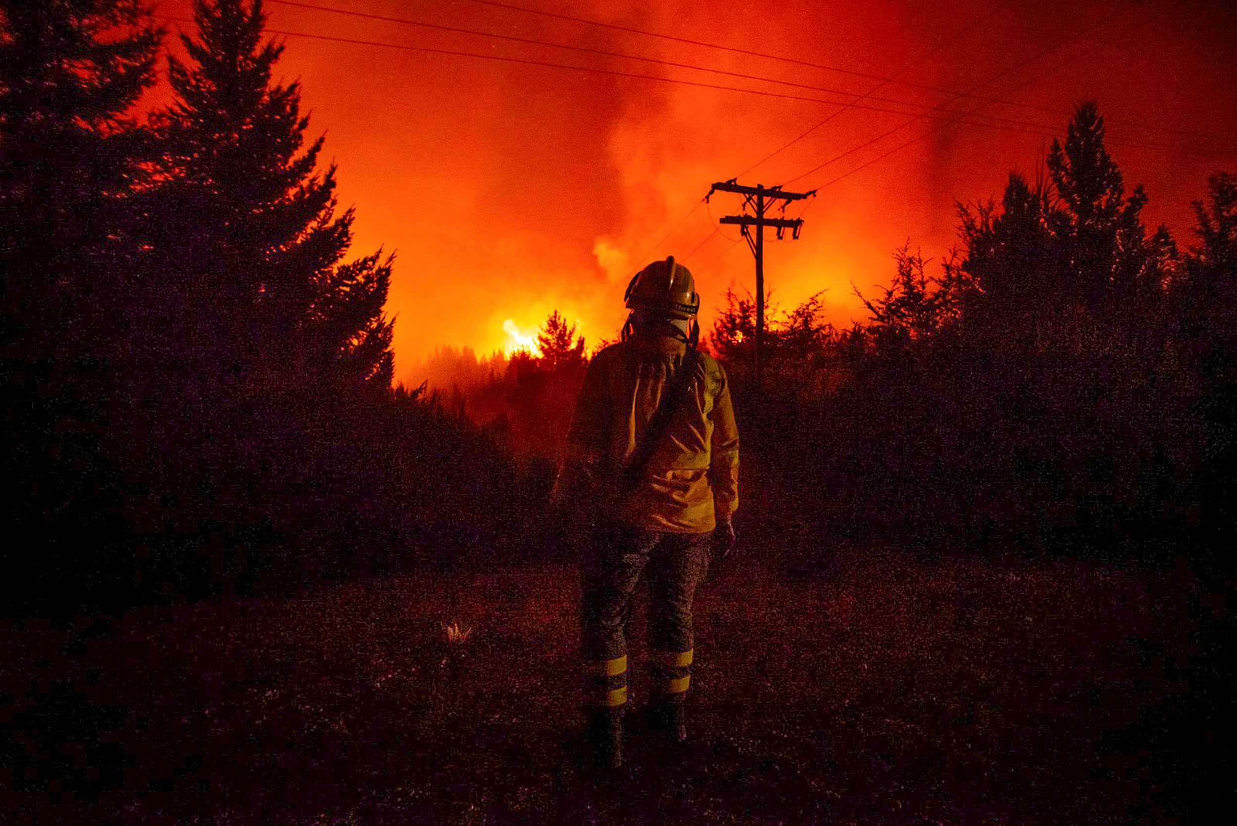 Guía para prevenir los incendios forestales: la urgencia de cuidar nuestros bosques
