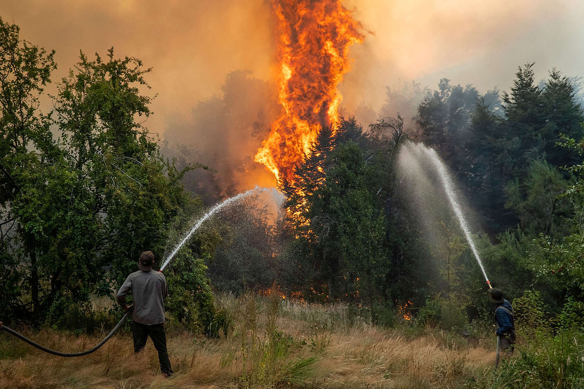 Fundaci n Greenpeace Argentina Incendios Forestales