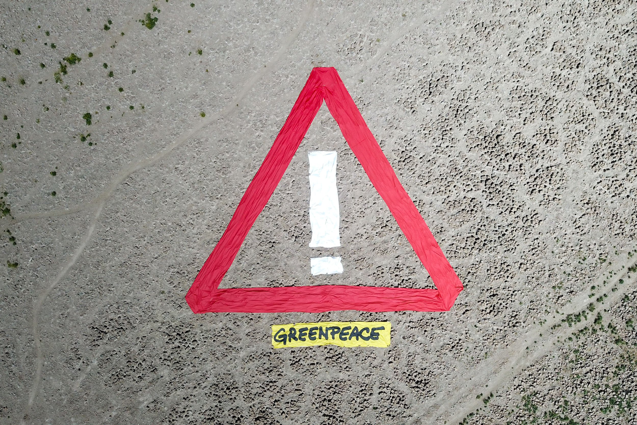 Día del Ambiente: La naturaleza como aliada frente a la crisis climática global
