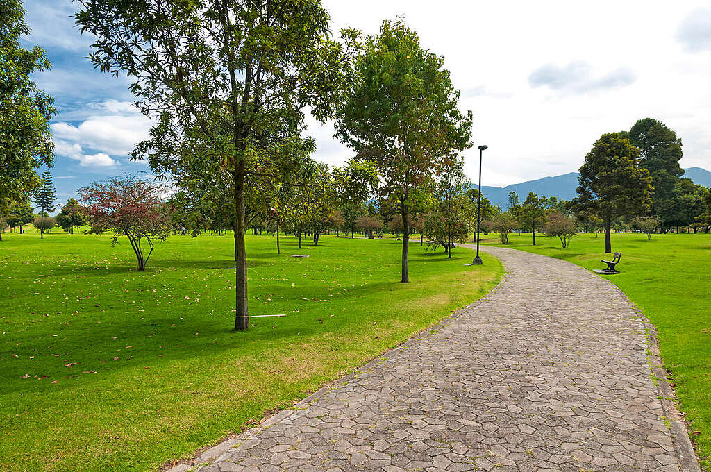 Let's Green Our Cities - Park in Bogota. © Nirian / Getty Images