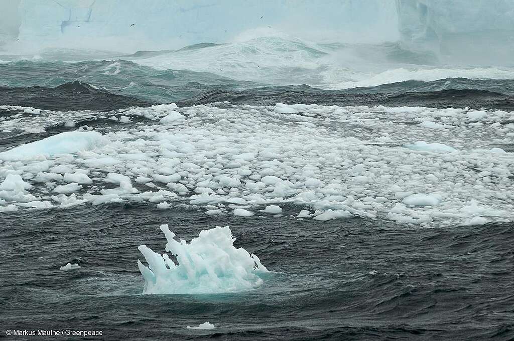 Témpanos de hielo flotan en el agua.

