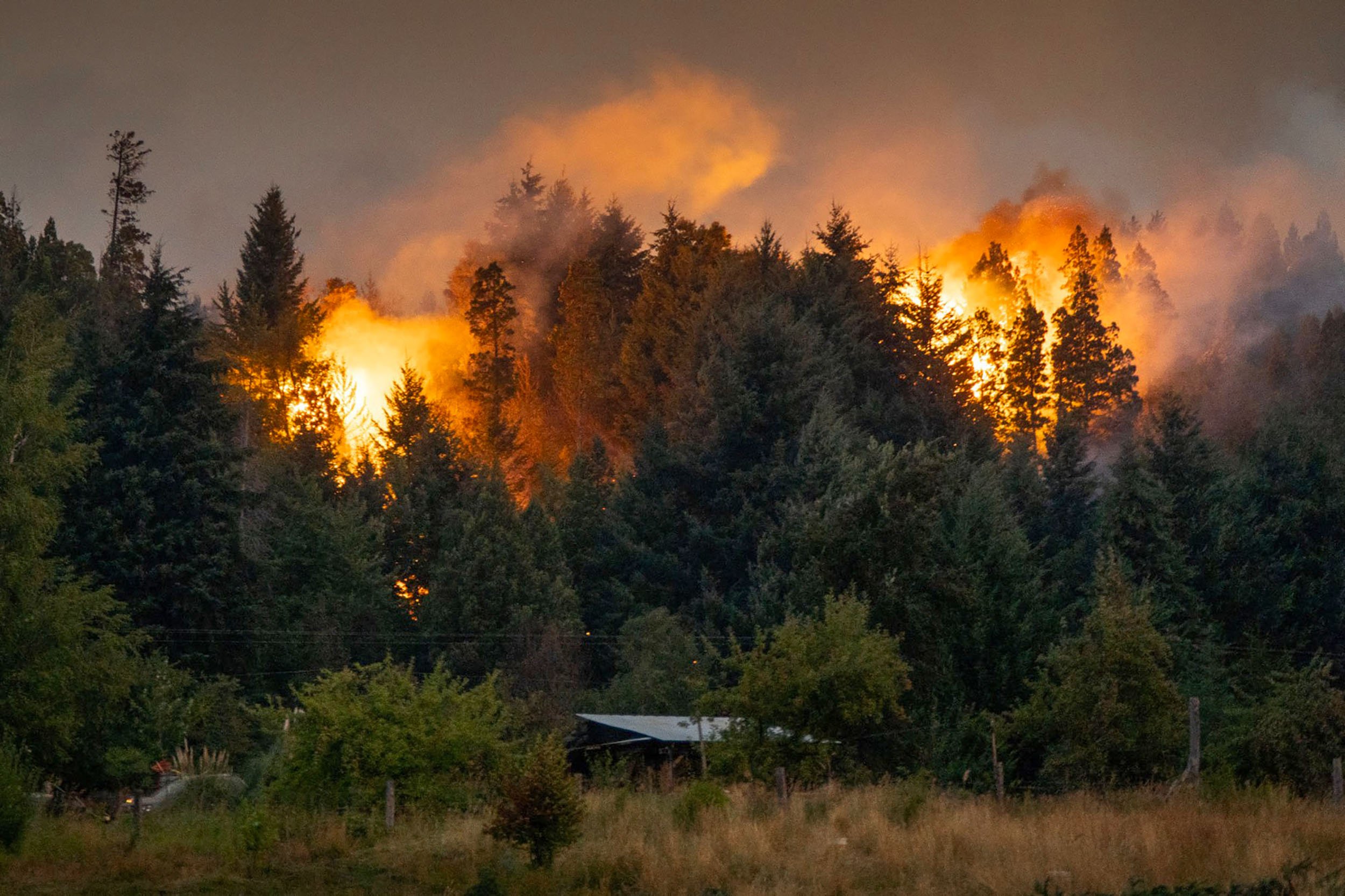 Greenpeace alertó a los gobernadores patagónicos por otro verano con alto riesgo de incendios forestales 