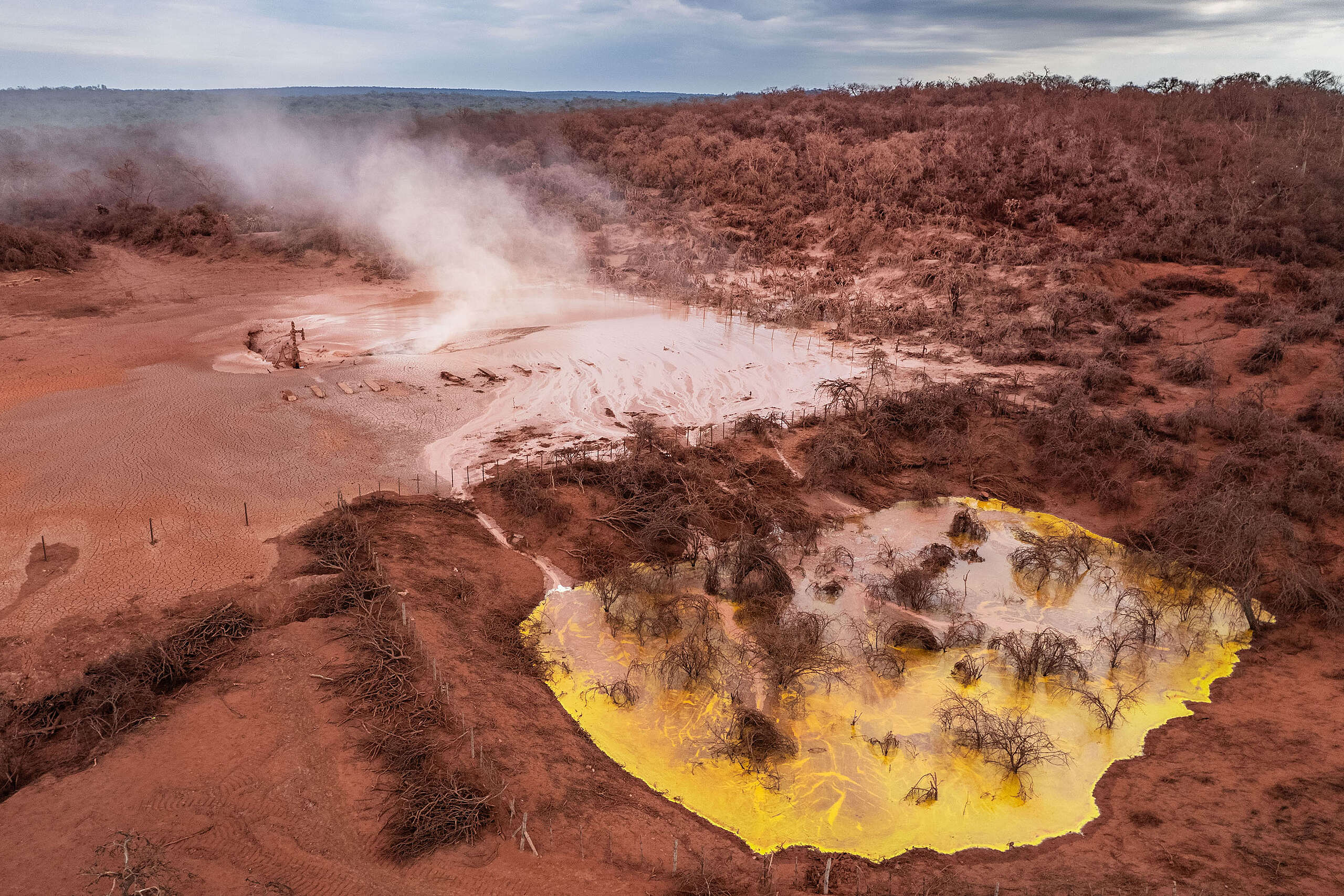 Greenpeace denuncia m&aacute;s de 20 hect&aacute;reas contaminadas en un bosque salte&ntilde;o