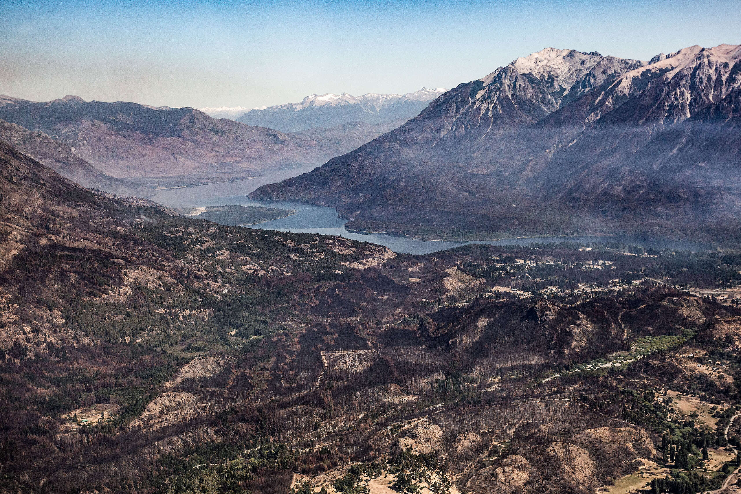 Guía para prevenir los incendios forestales: la urgencia de cuidar nuestros bosques