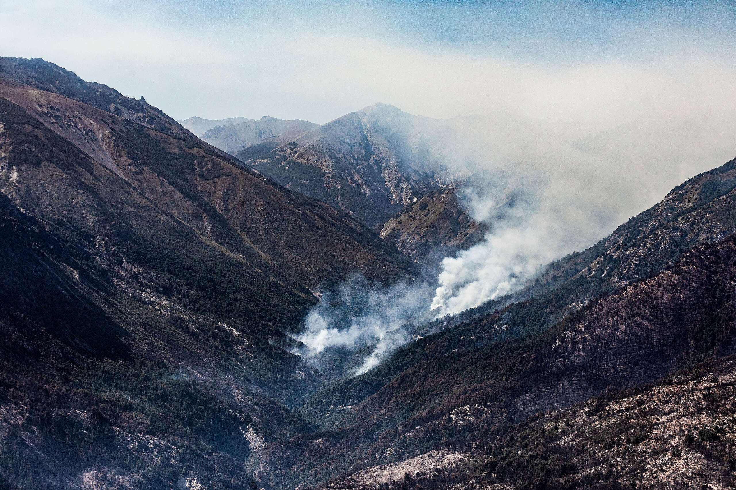 Greenpeace document&oacute; por aire el grave da&ntilde;o ambiental de los incendios en Chubut
