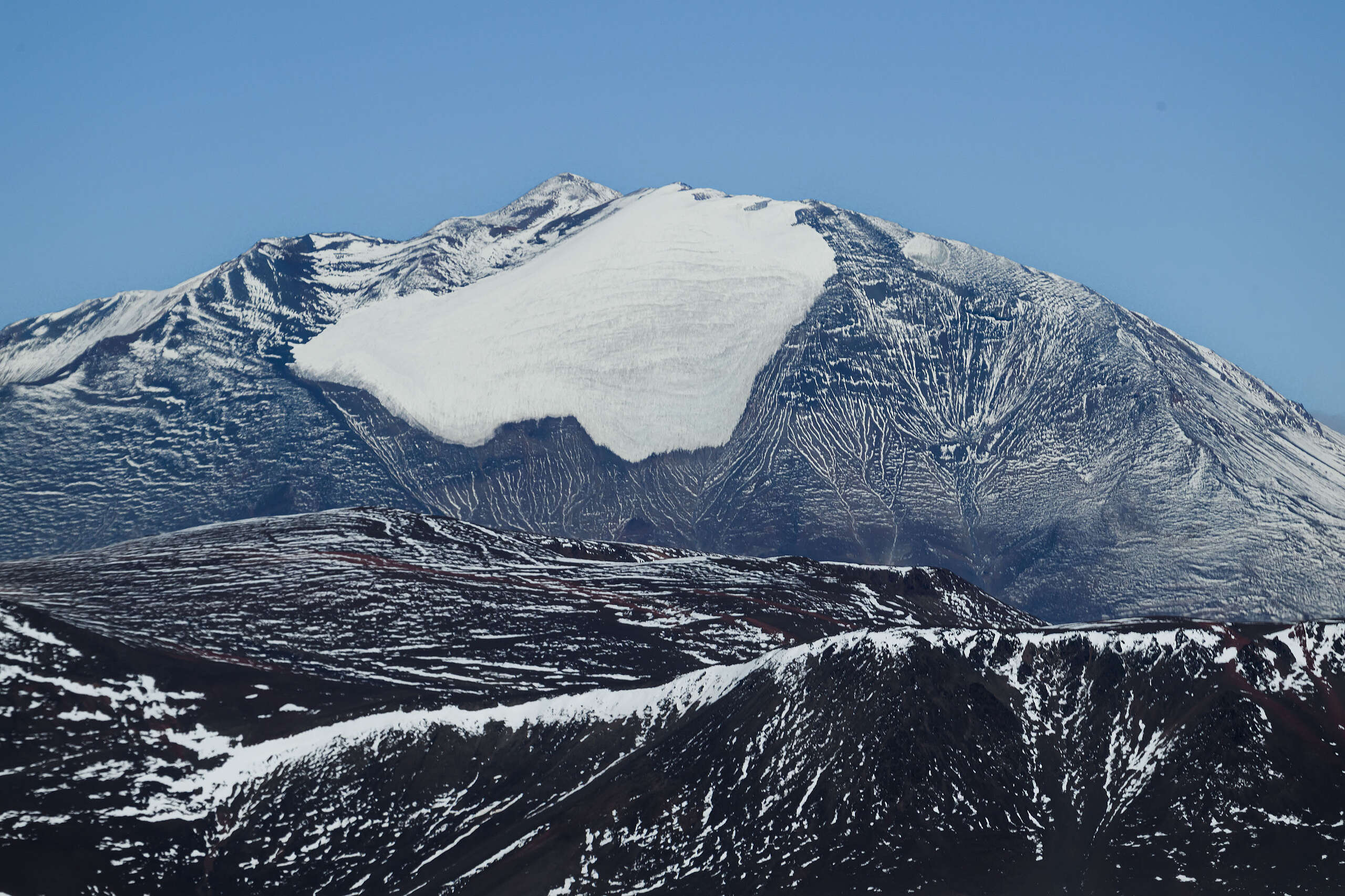 Día de la Tierra: Greenpeace exige frenar la ofensiva contra bosques y glaciares en Argentina