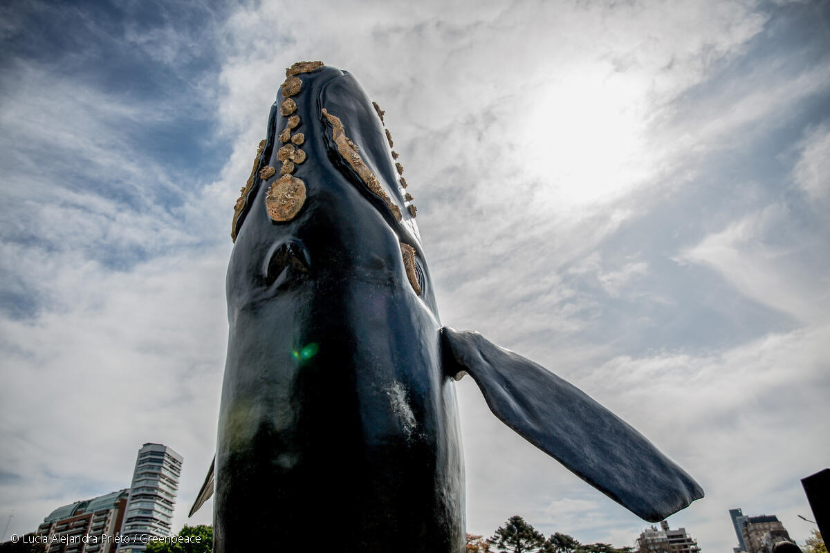 Escultura de ballena franca austral advierte sobre exploración petrolera en Buenos Aires.