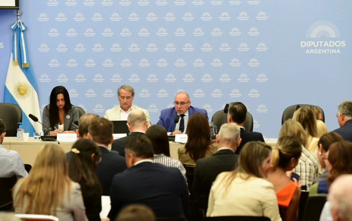 Ley de Glaciares: irregularidades y restricciones tras la inscripción récord en la audiencia pública 