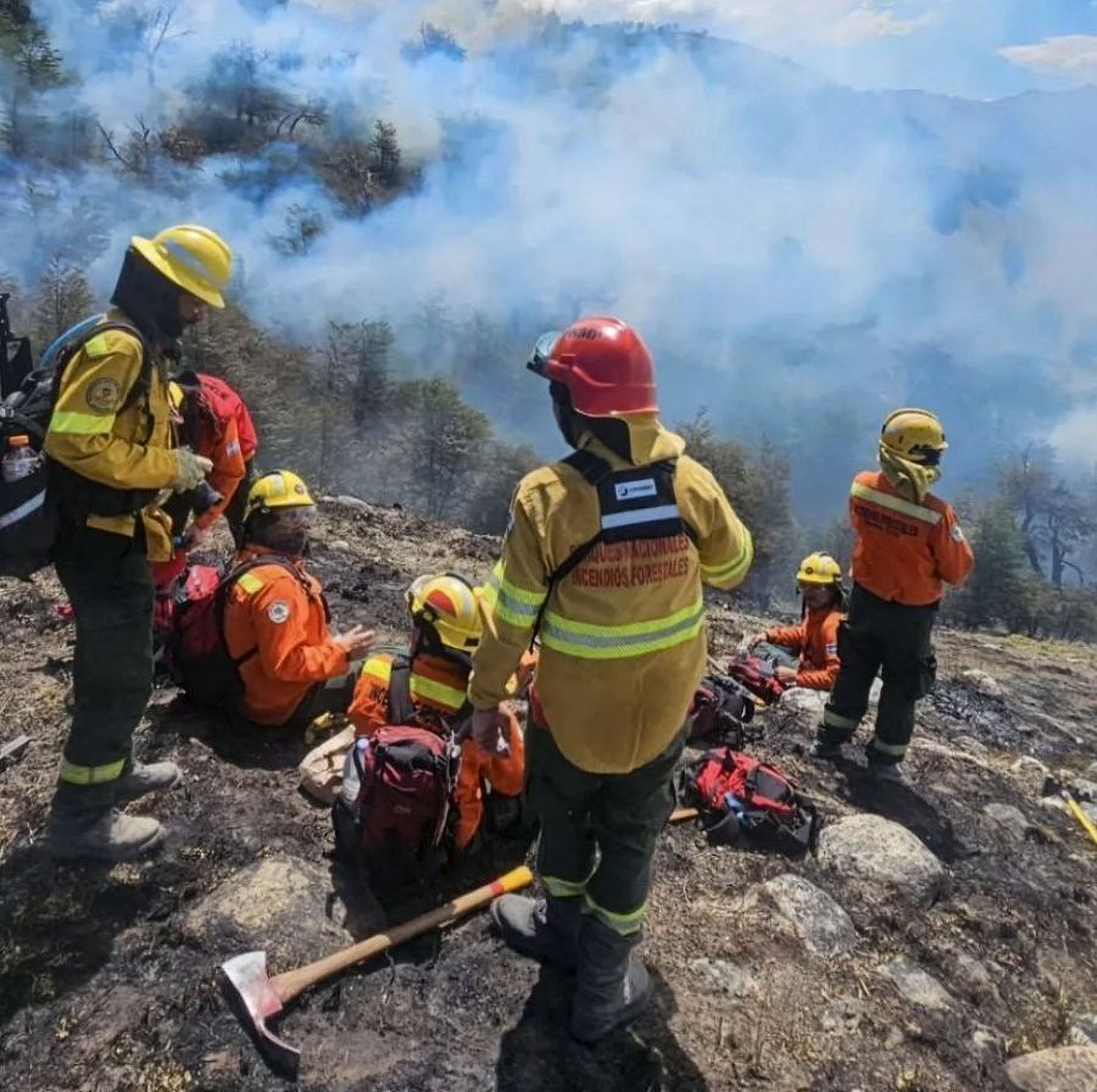 Se multiplicaron por diez los bosques patagónicos arrasados por el fuego y fueron los peores incendios de las últimas seis décadas
