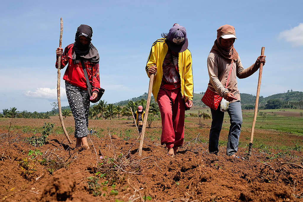 El Niño Impacts on Indigenous Peoples in Mindanao