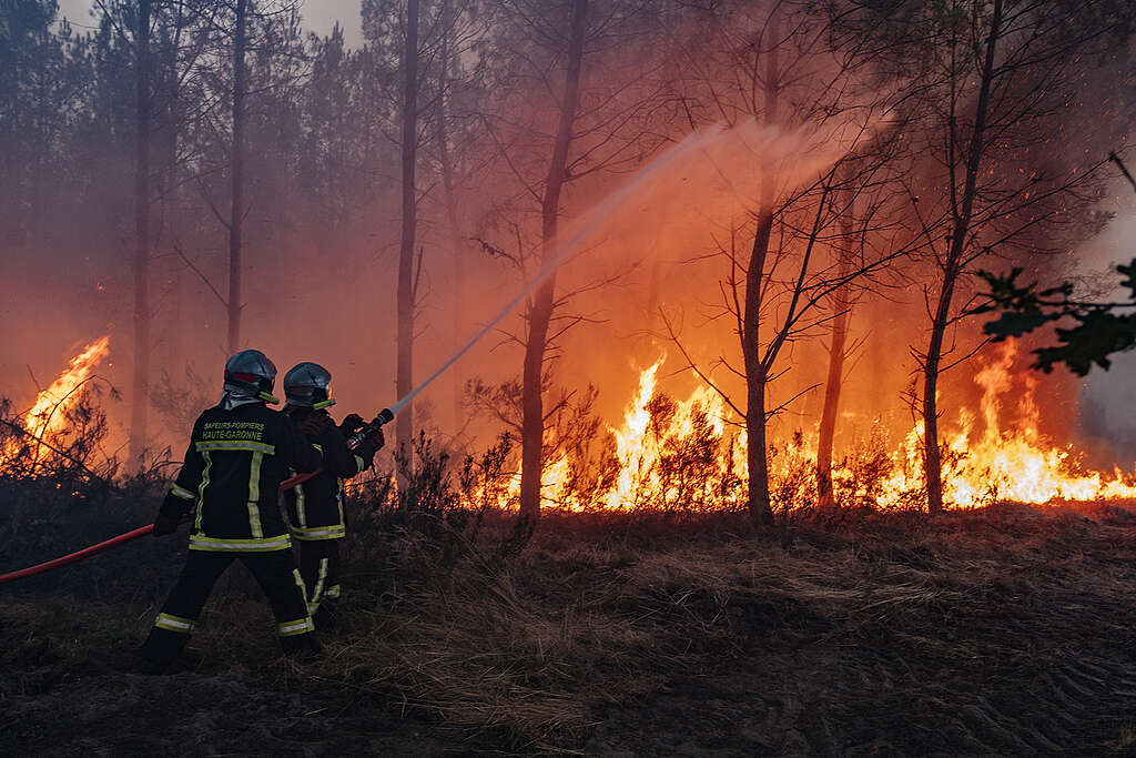 Wildfires in GirondeIncendies en Gironde