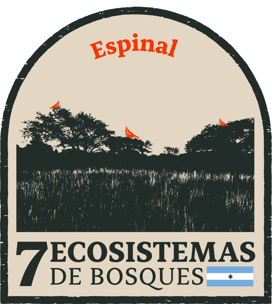Espinal