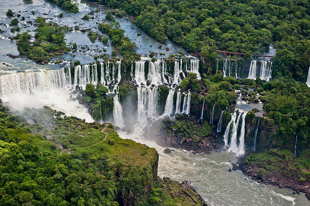 Selva Misionera 08 © Martin Katz Greenpeace