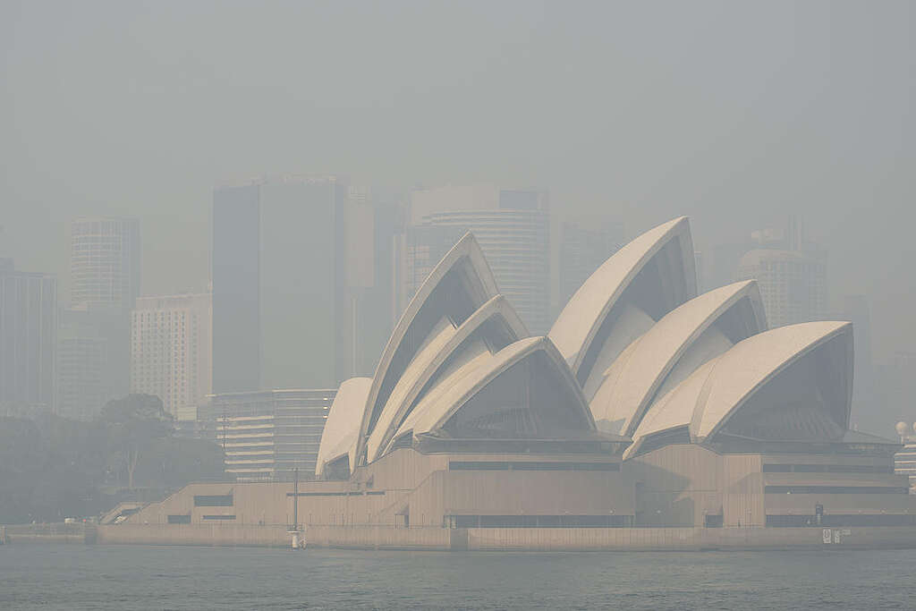 Bushfire Smoke over Sydney Harbour. © Emeran Gainville / Greenpeace