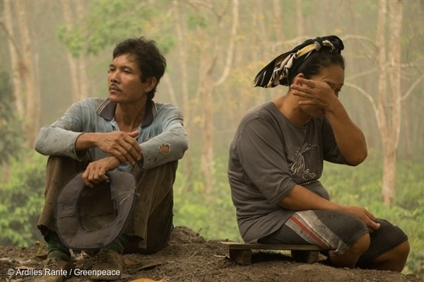 Quatre façons de stopper les feux de forêt en Indonésie