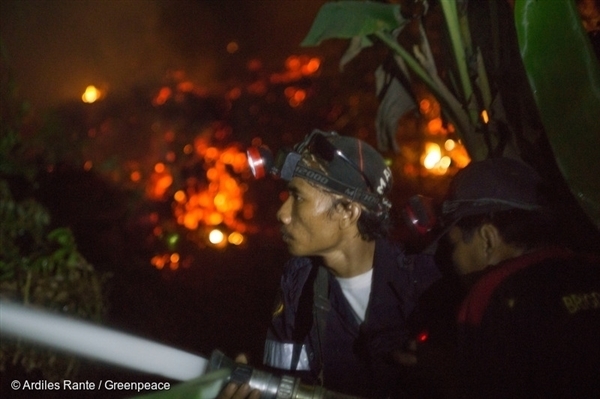 Quatre façons de stopper les feux de forêt en Indonésie