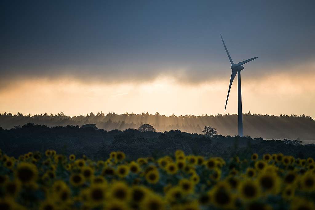 Wil je groene stroom? Kies een energiecoöperatie