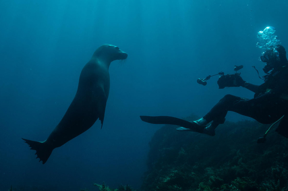 8 manieren om de oceanen te beschermen