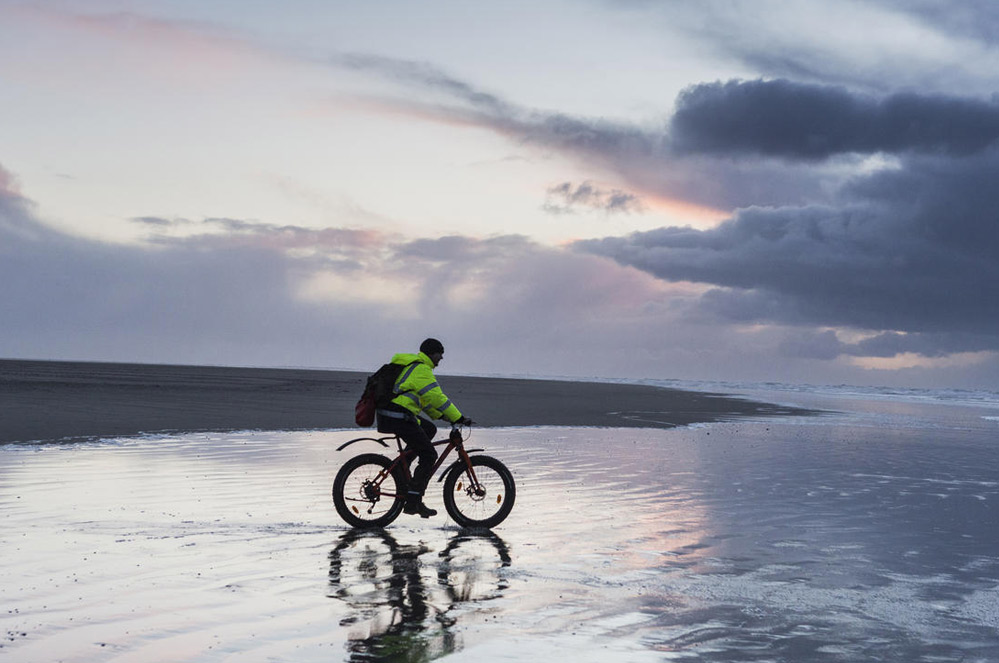 4Sea coalitie vraagt om strandbloemen te laten bloeien (ook na corona)