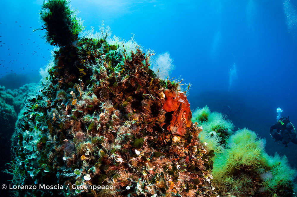 Seamount Vema