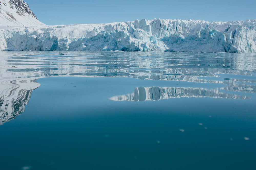 Offrez 0,50€ à Greenpeace pour la sauvegarde des océans sans sortir votre portefeuille !