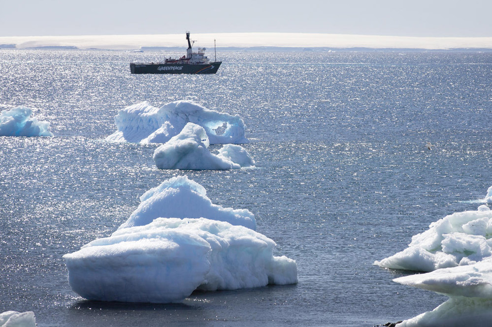 Depuis chez vous, laissez-vous transporter par les merveilles de l’océan