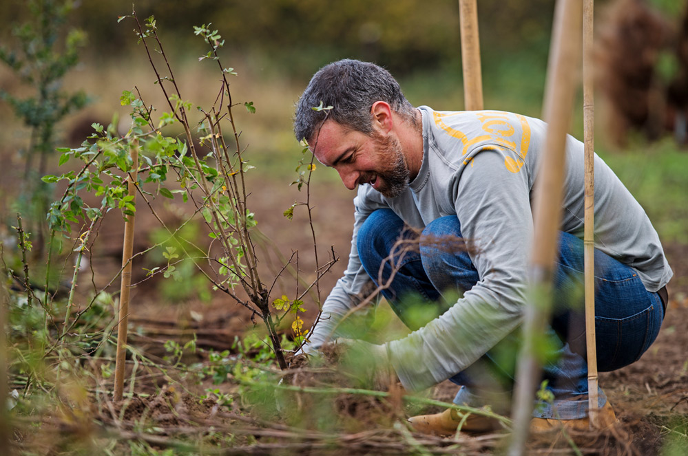 Wat zullen we doen vandaag? Jullie deelden massaal jullie groene ideeën