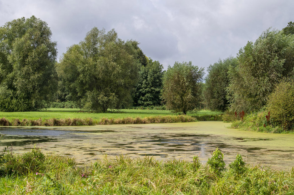 Meer natuur en ruimte in onze buurt