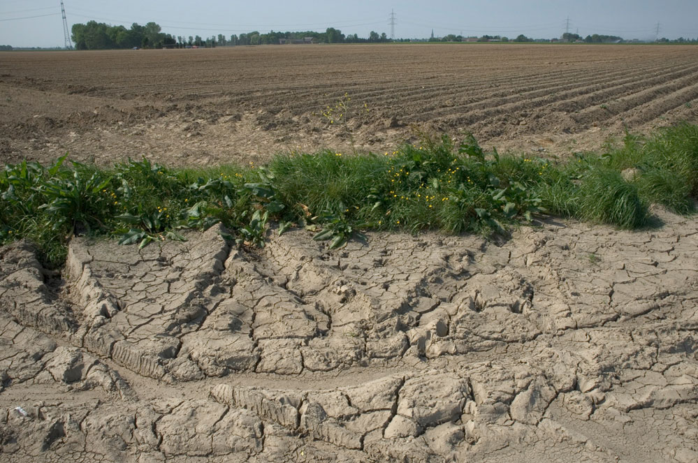 Sécheresse en Flandre : espérer la pluie ne suffit plus  