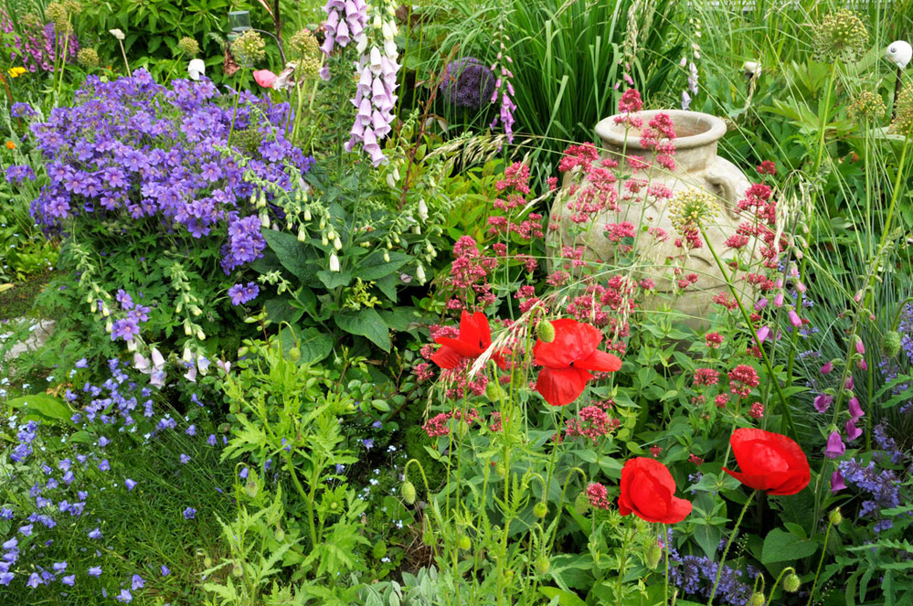 Droogte: tips en trucs om water te besparen in de tuin