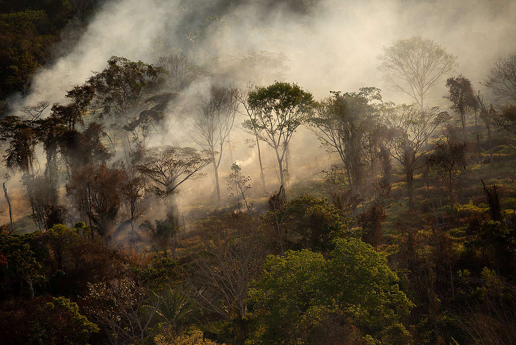 L’Amazonie a besoin de votre soutien