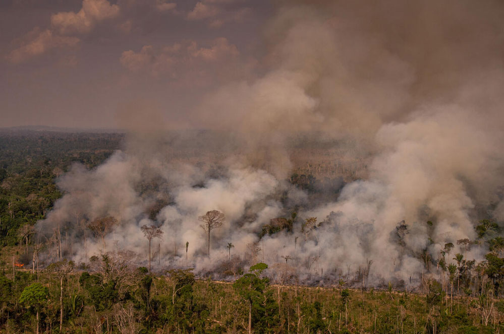 Greenpeace maakt nieuwe beelden van verwoestende branden in het Amazonewoud