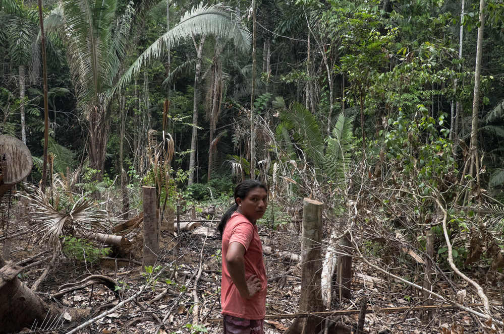 Agir aux côtés des défenseurs de la forêt amazonienne