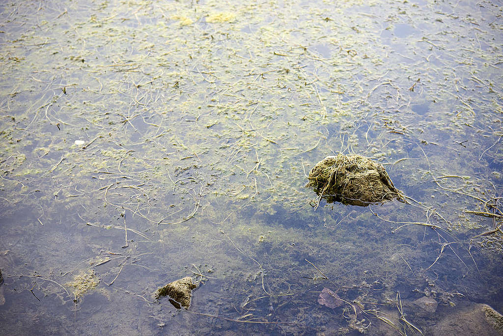 We zitten in de sh*t: stop de vervuiling van ons water!