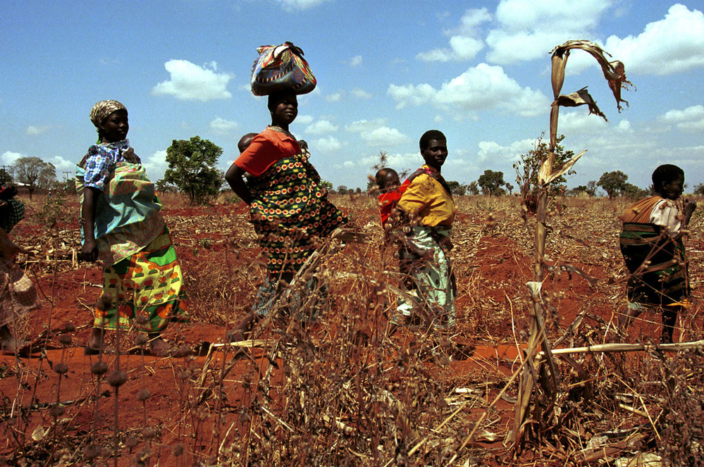 Les femmes sur le front de l’urgence climatique