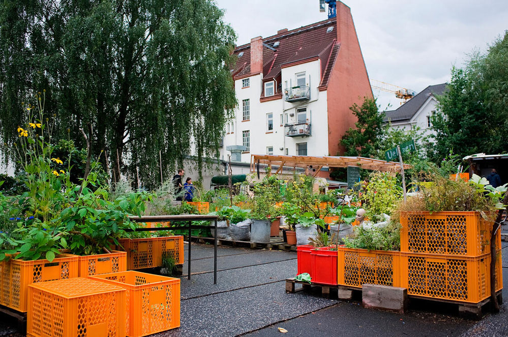 Hoe plant je je eigen voedselvoorziening?