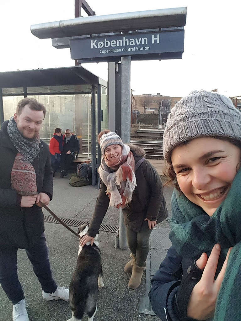 Dit jaar met de trein op reis? Vier Greenpeacers delen hun ervaring